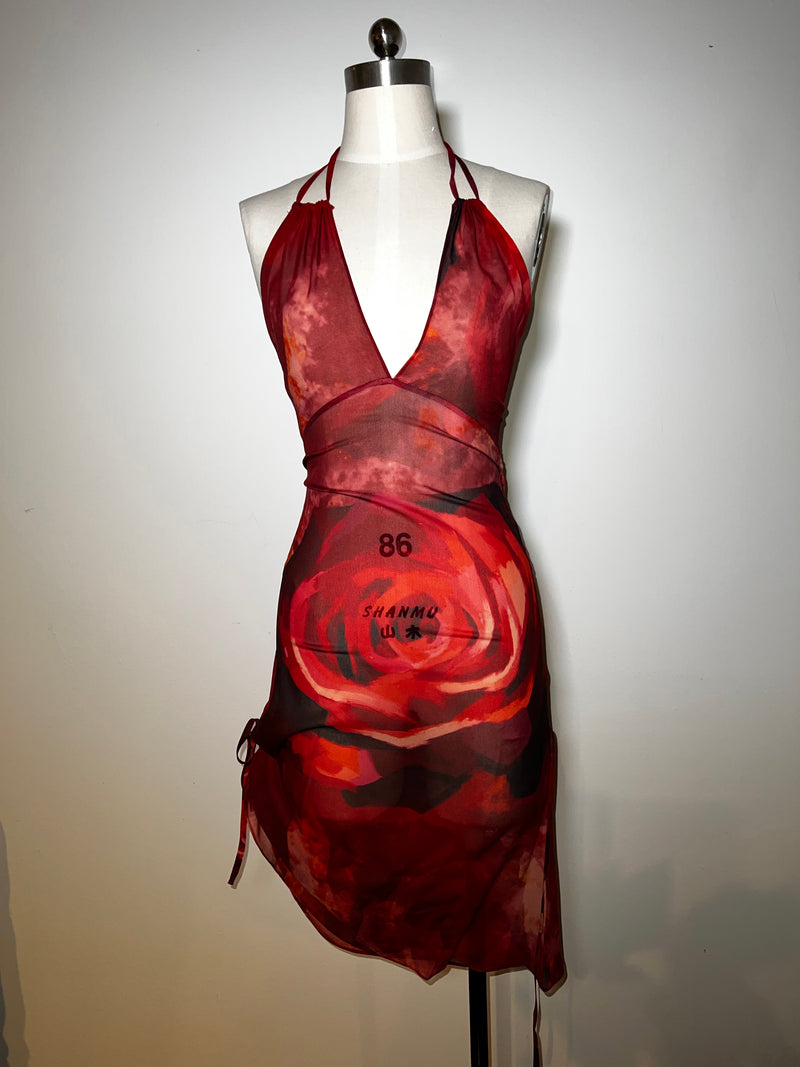Semi Sheer Red Silk Chiffon Dress - Not Embellished